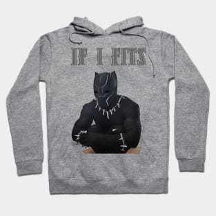 if i fits, i sits Hoodie